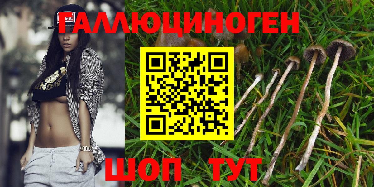 Владимир  Галлюциногенные грибы мухоморы  Вход с VPN 