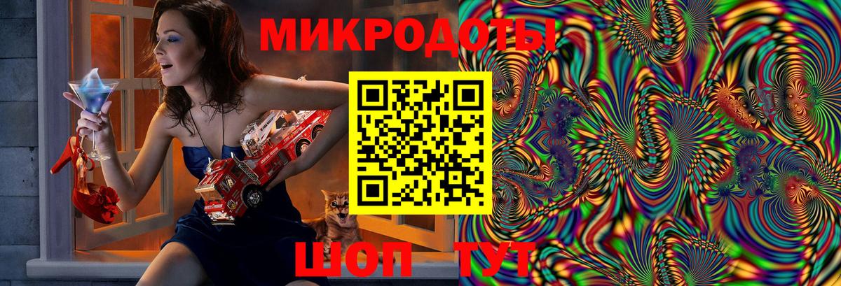 Псилоцибиновые грибы Psilocybe Владимир